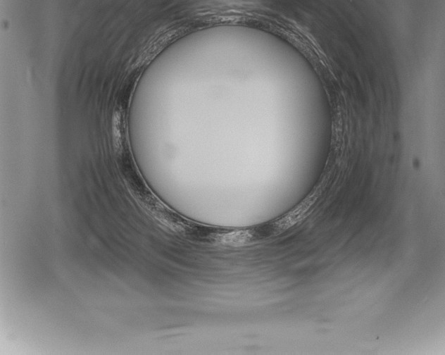 X0000080800122200612151042