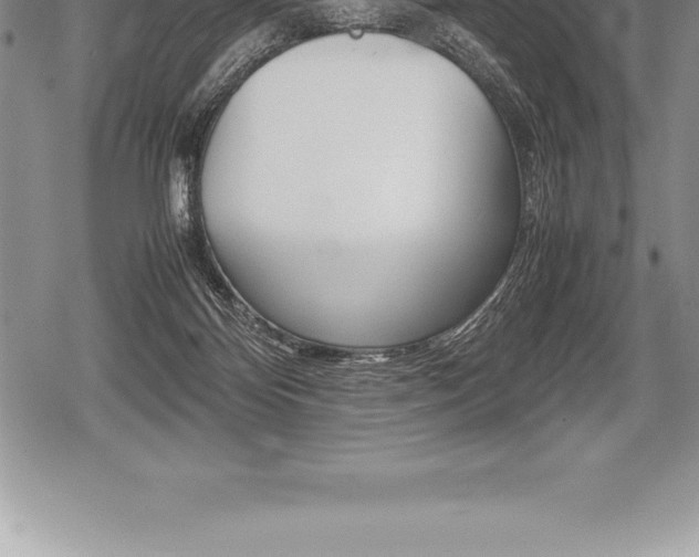 X0000080800124200612151042