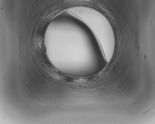 X0000080800125200612151042