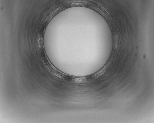 X0000080800126200612151042
