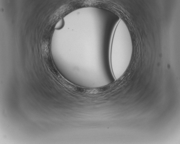 X0000080800127200612151042
