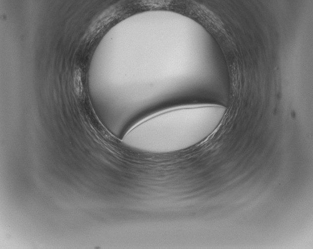 X0000080800128200612151042