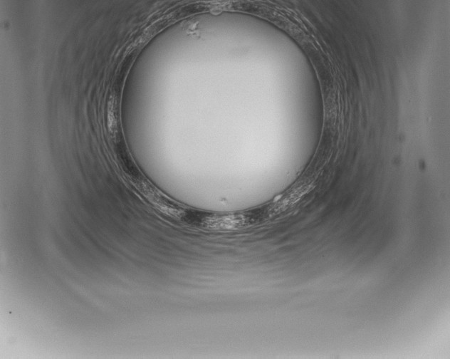 X0000080800131200612151042