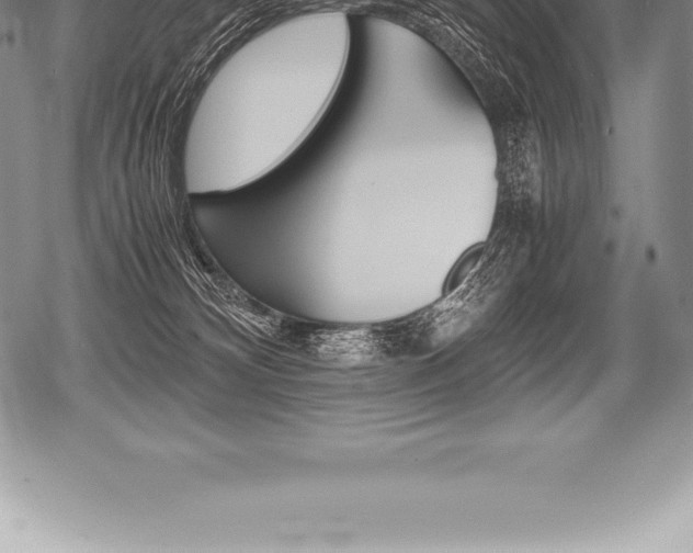 X0000080800132200612151042