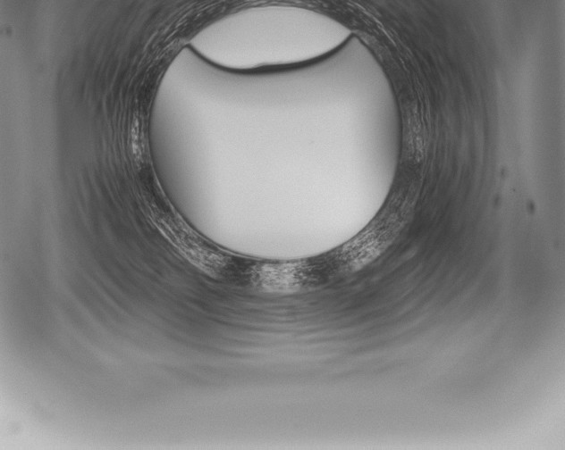X0000080800134200612151042