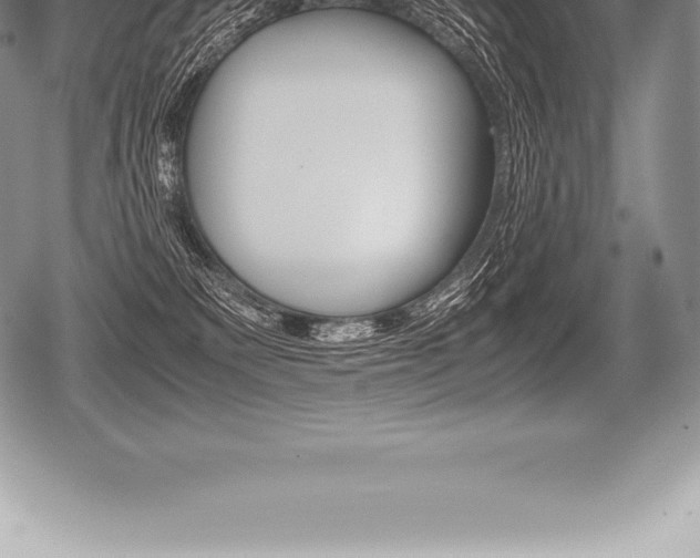 X0000080800135200612151042