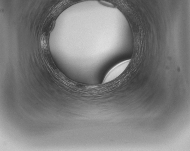 X0000080800137200612151042