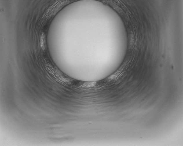X0000080800138200612151042