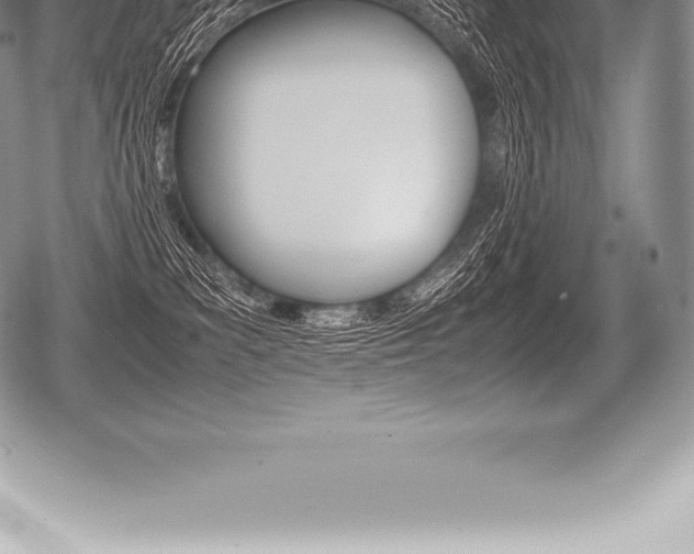 X0000080800139200612151042