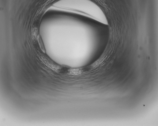 X0000080800141200612151042