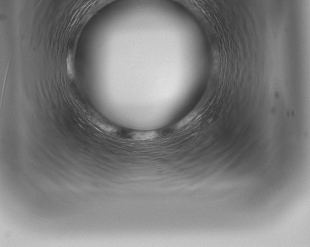X0000080800143200612151042