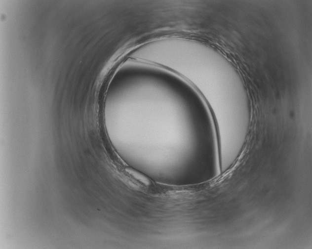 X0000080800150200612151041