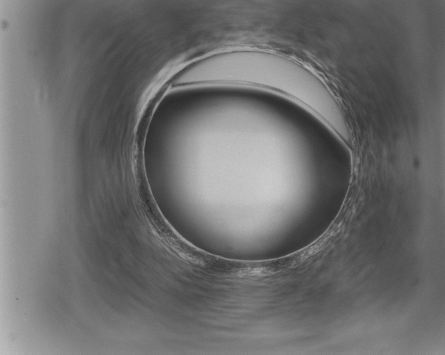 X0000080800152200612151041