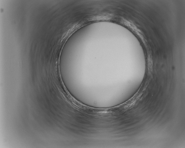 X0000080800153200612151041