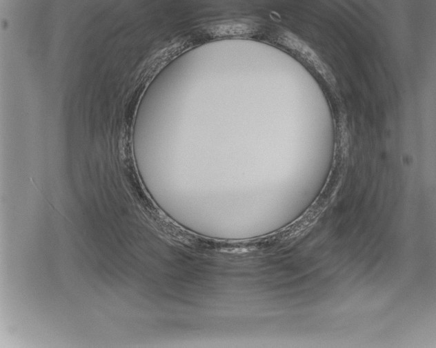 X0000080800161200612151041