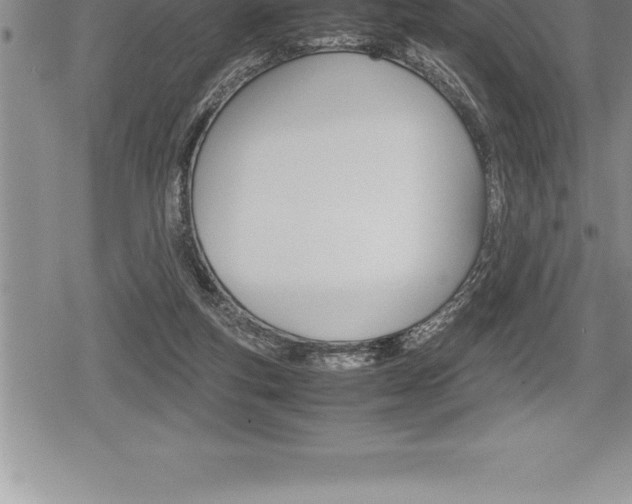 X0000080800163200612151041