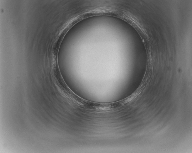X0000080800164200612151041