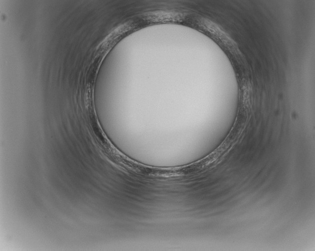 X0000080800165200612151041