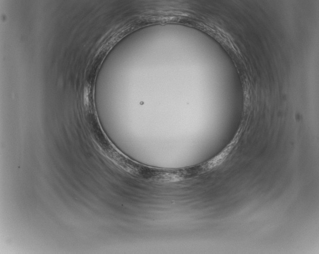 X0000080800166200612151041