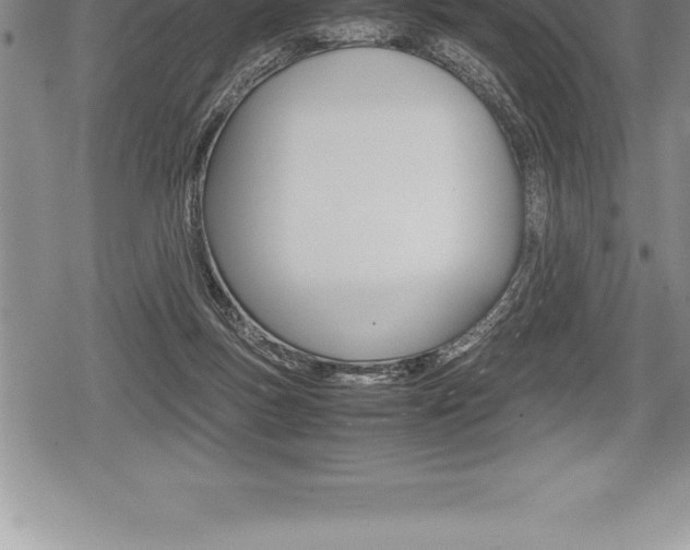 X0000080800167200612151041