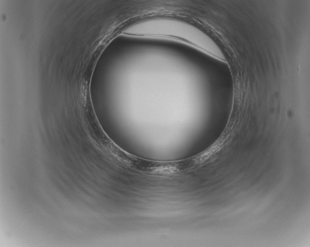 X0000080800168200612151041