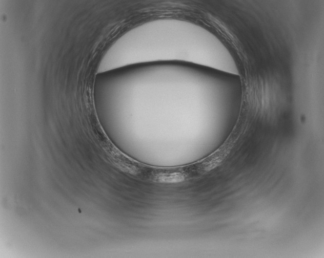 X0000080800169200612151041