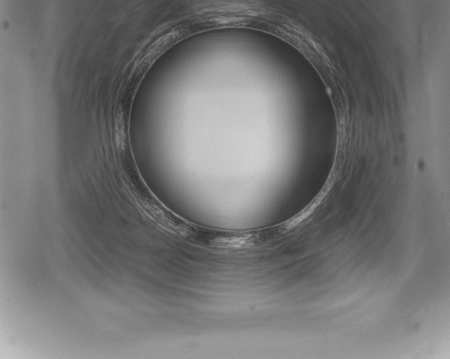 X0000080800170200612151041