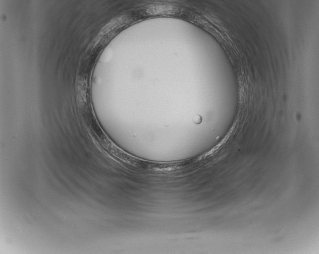 X0000080800171200612151041