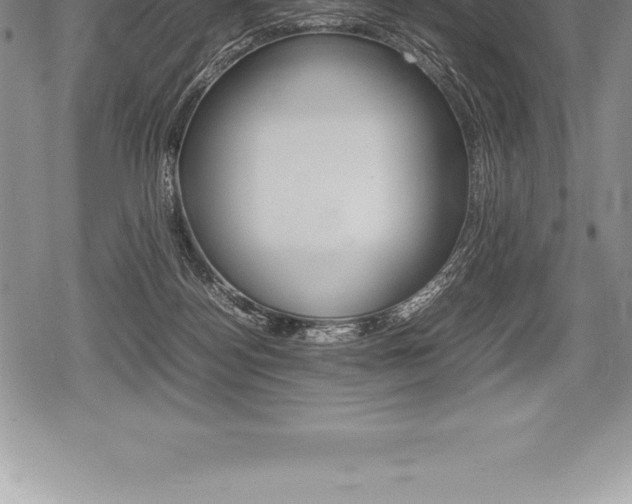 X0000080800172200612151041