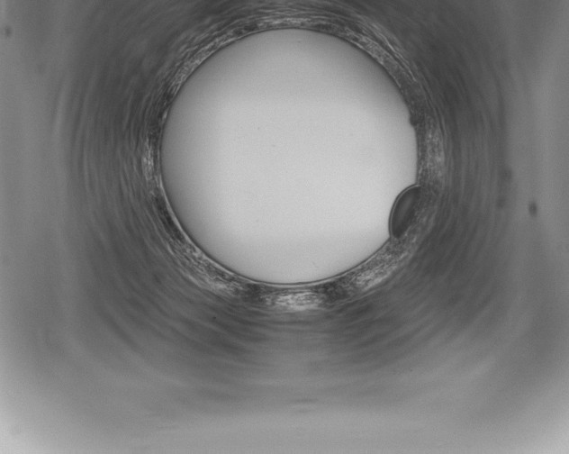 X0000080800173200612151041
