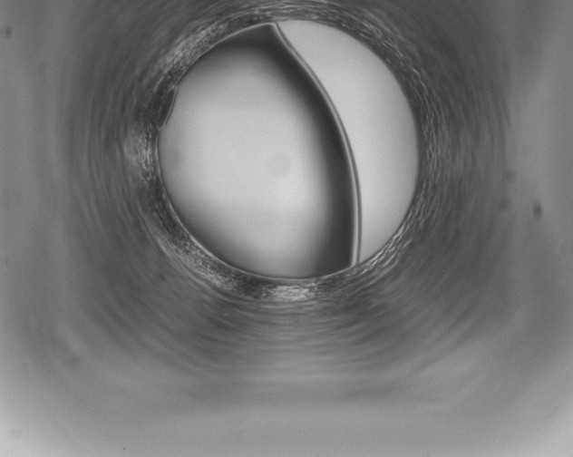 X0000080800176200612151041