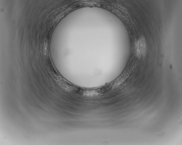 X0000080800177200612151041