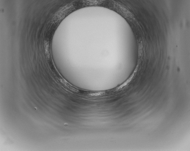 X0000080800178200612151042