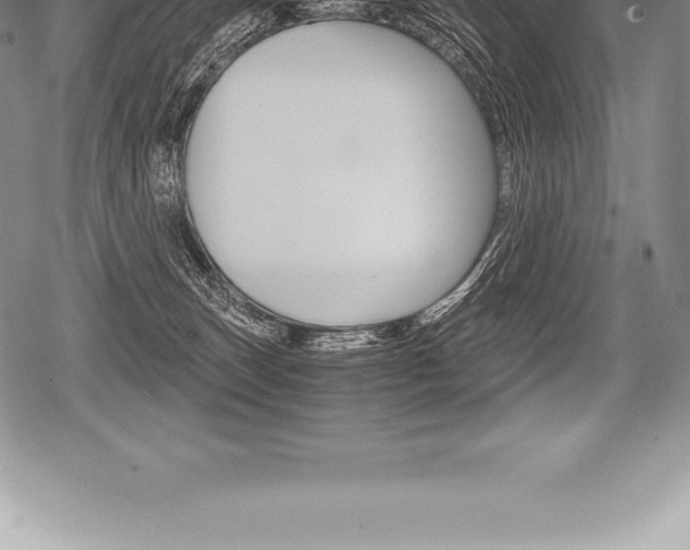 X0000080800179200612151042