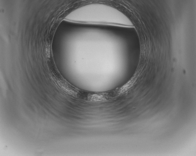 X0000080800180200612151042