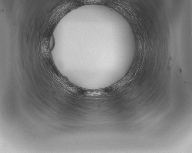 X0000080800181200612151042