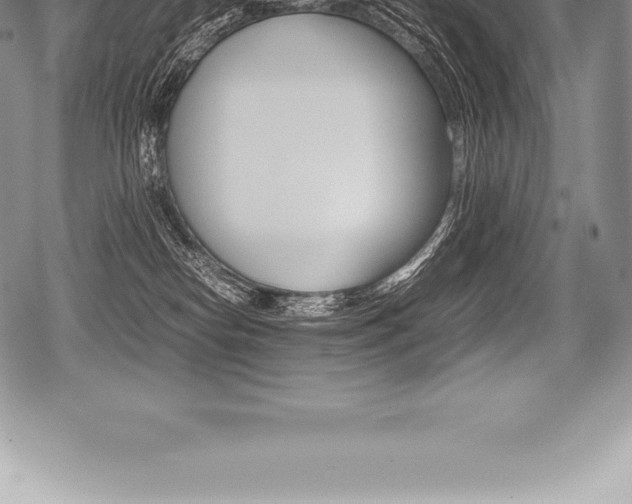 X0000080800182200612151042