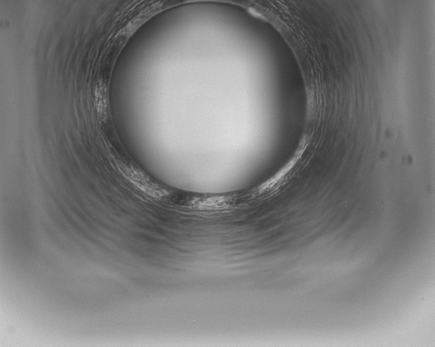 X0000080800186200612151042