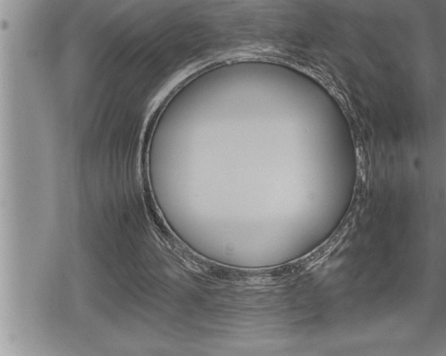 X0000080800196200612151041