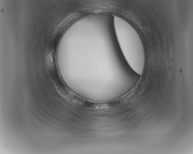 X0000080800214200612151041