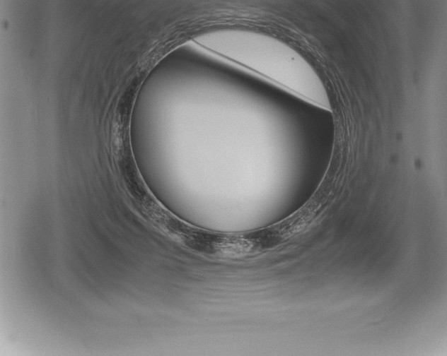 X0000080800215200612151041