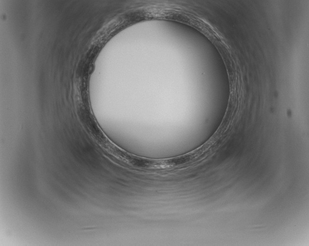 X0000080800217200612151041