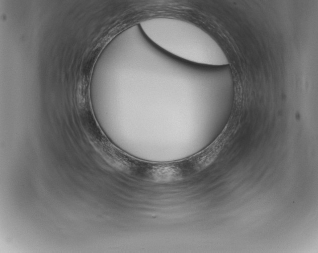 X0000080800218200612151041