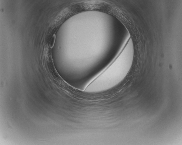 X0000080800219200612151041