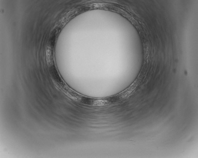 X0000080800222200612151040