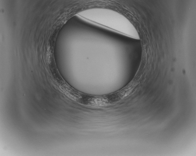 X0000080800223200612151040