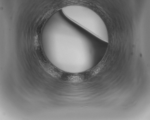 X0000080800224200612151040