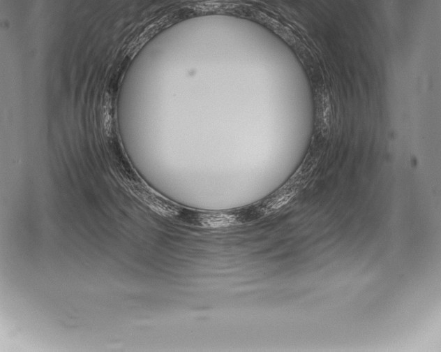 X0000080800226200612151040
