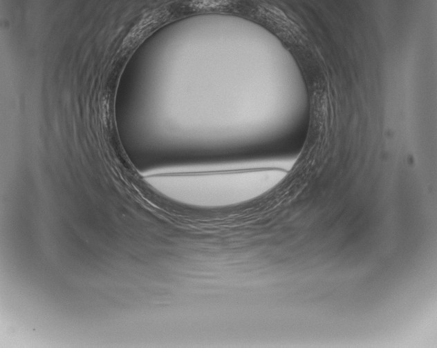 X0000080800227200612151040