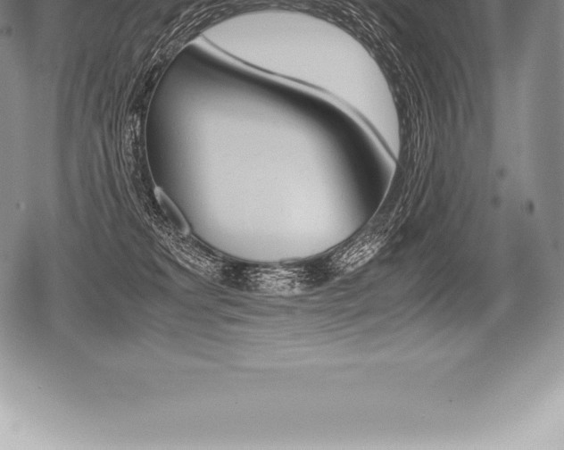 X0000080800229200612151040